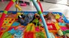 20160308_115127.jpg
