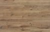 chic_-_winter_oak_62000209.jpg