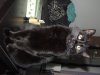 DSCN6581.jpg