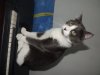 DSCN6587.jpg