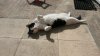 Facebook-20160315-083305.jpg