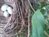 20160318_145914.jpg