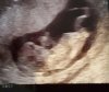 2016-03-18 17.00.54.jpg