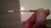WP_20160320_20_48_51_Pro.jpg