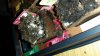 20160323_192548.jpg