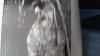 20160331_095406.jpg