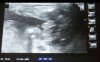 Screenshot_2016-03-25-14-45-05-1.jpg