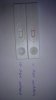 test 11 dpo.jpg