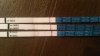 20160404_073958.jpg
