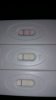 test nod+1.jpg