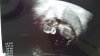 20160413_175539.jpg