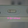PhotoGrid_1460635786266.jpg