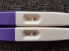 20160416_100215.jpg