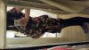 20160420_095716.jpg