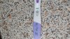 20160425_103531.jpg
