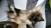 20160402_133848.jpg