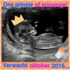 IMG-20160427-WA0003.jpg