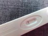 IMG_20160427_145537.jpg
