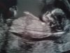 20160429_165122.jpg