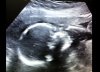 foto-21.jpg