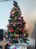 2011-12-09 10.57.49.jpg