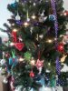 2011-12-09 10.57.58.jpg