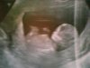 Picture0002.jpg