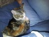 20120923_135135.jpg
