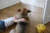 DSC08983.jpg
