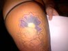 IMG-20120925-00013.jpg