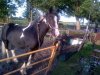IMG-20120925-00007.jpg