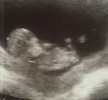 2016-05-02 16.09.18.jpg