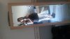 34 weken 20160504.jpg
