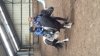 20160430_120430.jpg