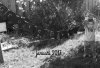 20160508_114628zww.jpg