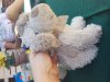 20160508_144643.jpg