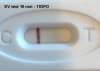 KV test 11dpo.jpg