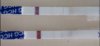 Test 10dpo.jpg