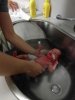 IMG_20160512_073915.jpg