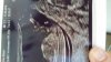 20160513_093842.jpg