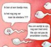 grapj forum.jpg