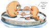 ivf book - cover-2.JPG