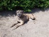 20160506_145945.jpg