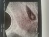 20160518_095254.jpg