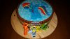 IMG-20160521-WA0000.jpg