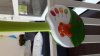 20160508_143753.jpg