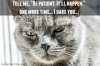 be-patient-cat.jpg
