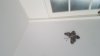 20160601_154053.jpg