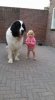 FB_IMG_1465654898010.jpg