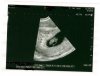 Scan_Pic0003 - kopie.jpg